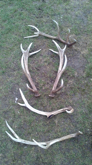 denný rekord dnes prekonaný