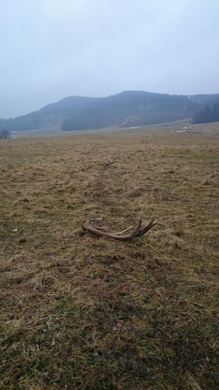 nechceli sa mi ísť spať