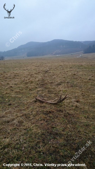 nechceli sa mi ísť spať
