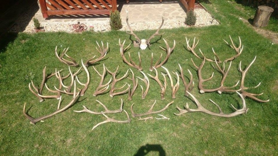 tohtoročná bilancia