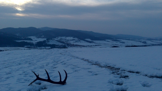 kto sa teší....???