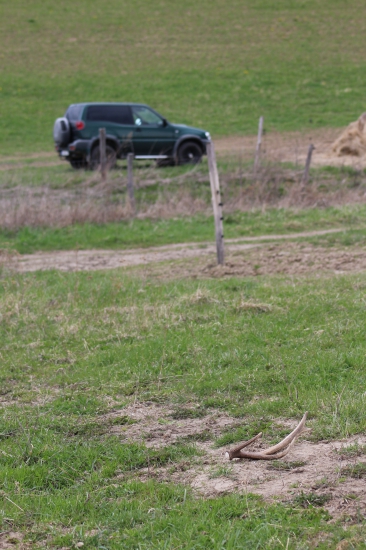 neESEMESKOVAT na zhodoch :-)