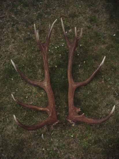 sťastie je krasna vec