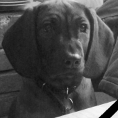 IN MEMORIAM . . . BEKI (Beti) spod Priečneho brala