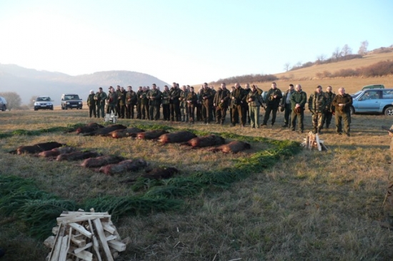 Poplatková poľovačka PZ LOHYŇA-KALINKA