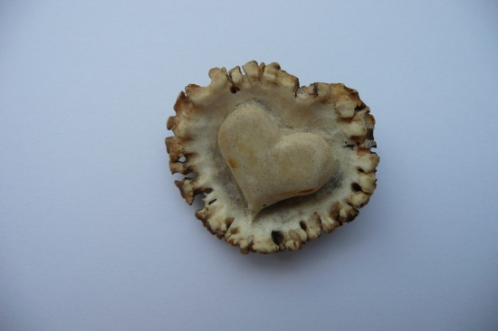 . . . zo srdca . . .