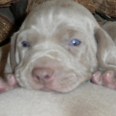 to sú okááááááááááááááále . . .