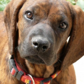 MIRA z Kmeťovej horárne