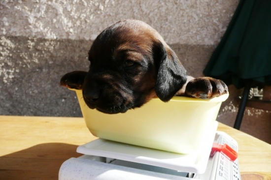 váženie . . .  to môžem :)