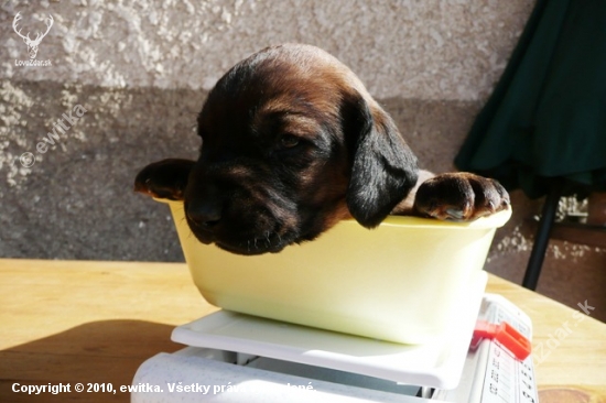 váženie . . .  to môžem :)