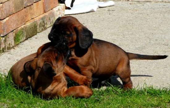 bitkááááááááá :)