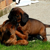 bitkááááááááá :)