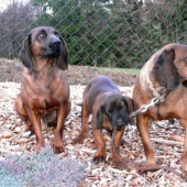 najmladšia, ale vodca (BURY spod Priečneho brala) ;)