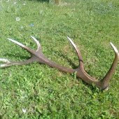 najdeny minuleho roku