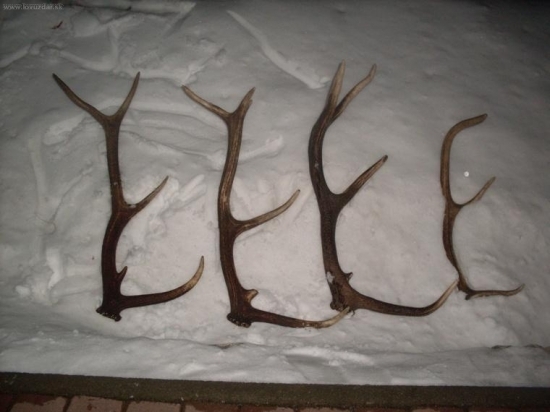 minuleho roku a vsetky lave