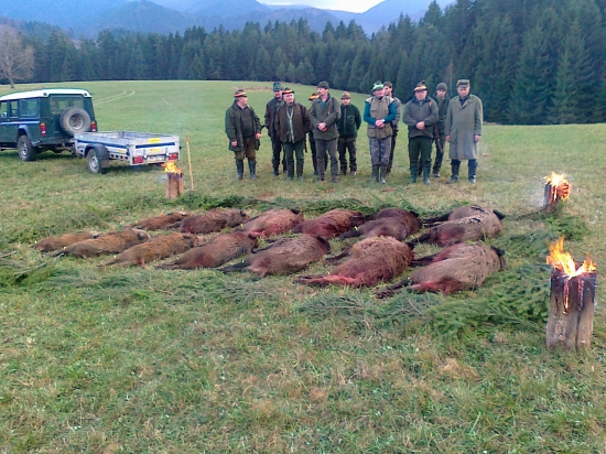 Spoločna polovačka  zadarilo sa
