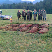 Spoločna polovačka  zadarilo sa