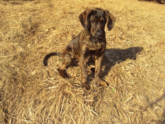 Ares ešte jedna aktuálna