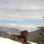 Ares