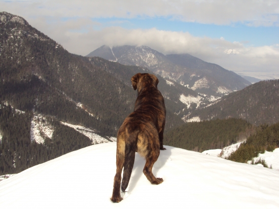 Ares- pohlad do doliny