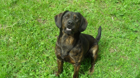 úsmev nesmie chýbať - Ares