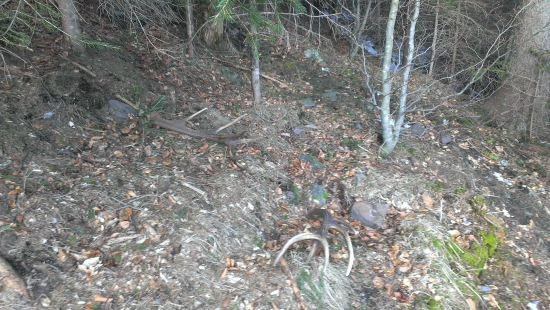 včerajší prvý pohľad