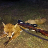 lišiak z večerného piršu