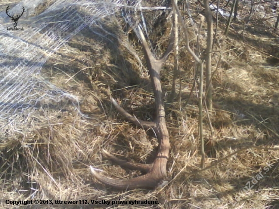 10 torak 2,5kg
