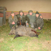 Novembrový spln