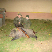 Novembrový spln