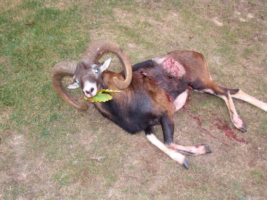 Jeden z mojich lepších