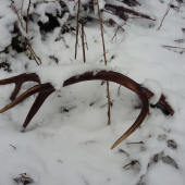 14 torak, 2,7kg