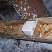 Este raz ...pohlad do Taniera....