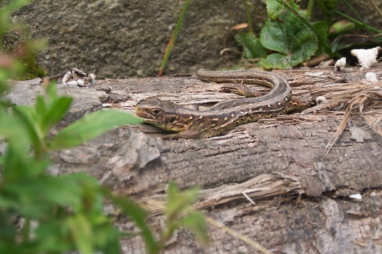 Tu mi je najlepšie...