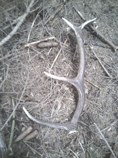 Keď nehladas, nájdeš!