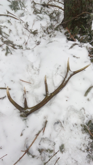 Keď vyzerá ako čerstvý