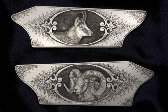 platničky na Blaser R8