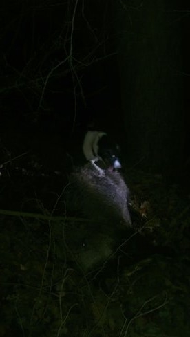 úspešná dohľadávka