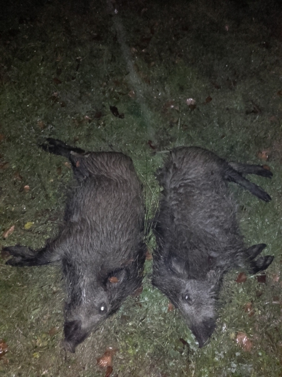 double
