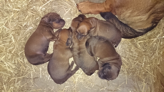 Už máme týždeň :-)