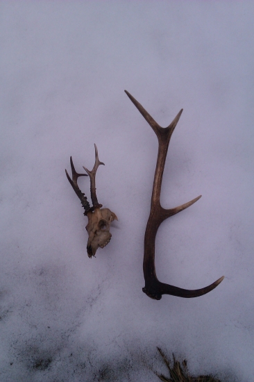 manzelka mala stastie