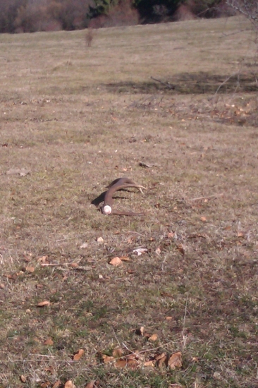 tak predsa mam aj ja jeden