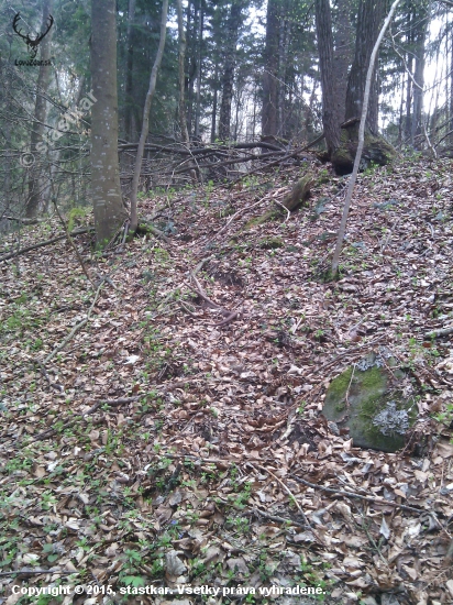 radosť veľká