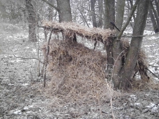 aj takto nejak sa da prikrmovat