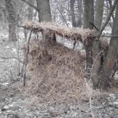 aj takto nejak sa da prikrmovat