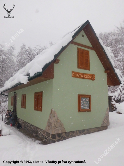 červel