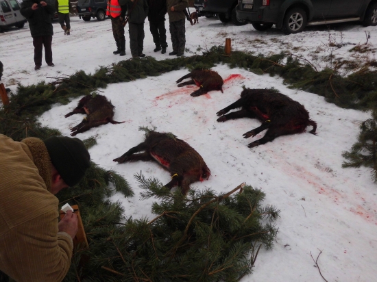 Spoločna nezadarylo sa veĺmi