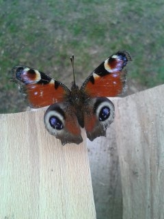 trosku som ju prebudil