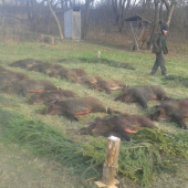 Spoločna polovačka výrad