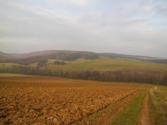 Panorama